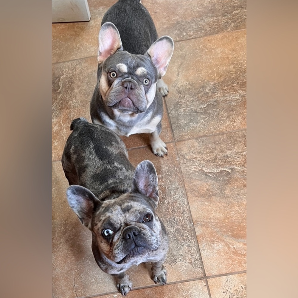 🎉🎉🎉(As Discussed)